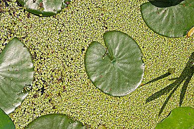 「PLAYISM GAME SHOW 2025.9.16」决定召开 ！12款作品新情报介绍